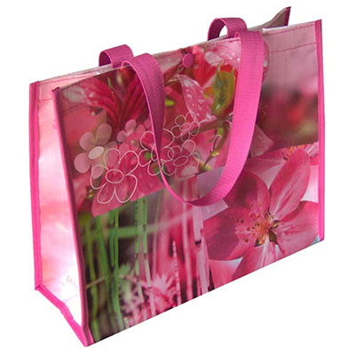 PP Woven Shopping Bags